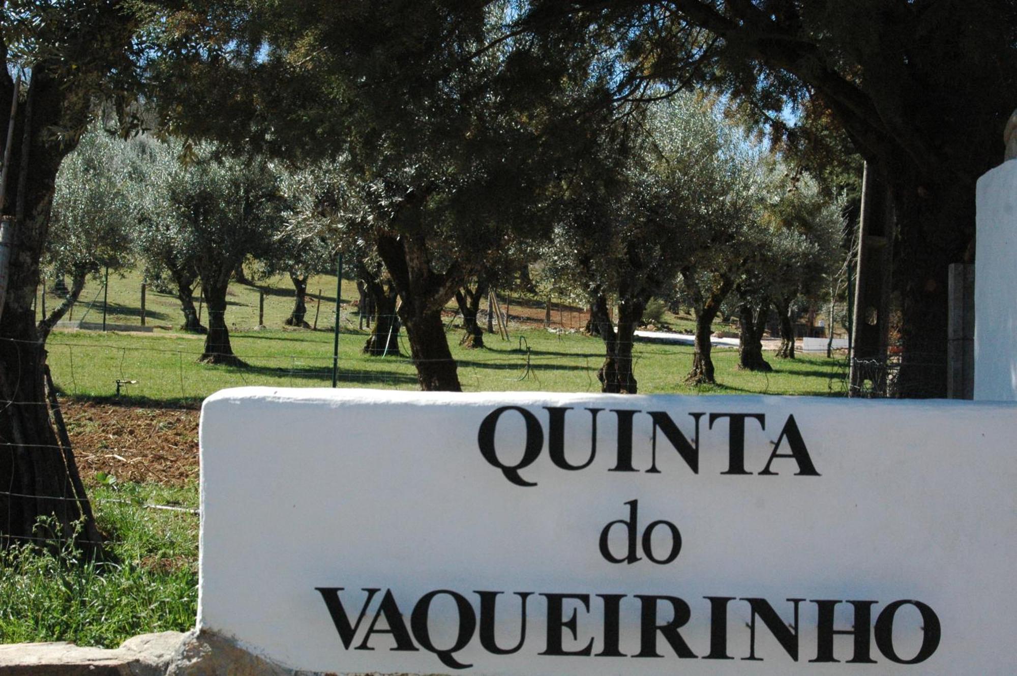 Quinta Do Vaqueirinho - Agro-Turismo Villa Marvão Eksteriør bilde