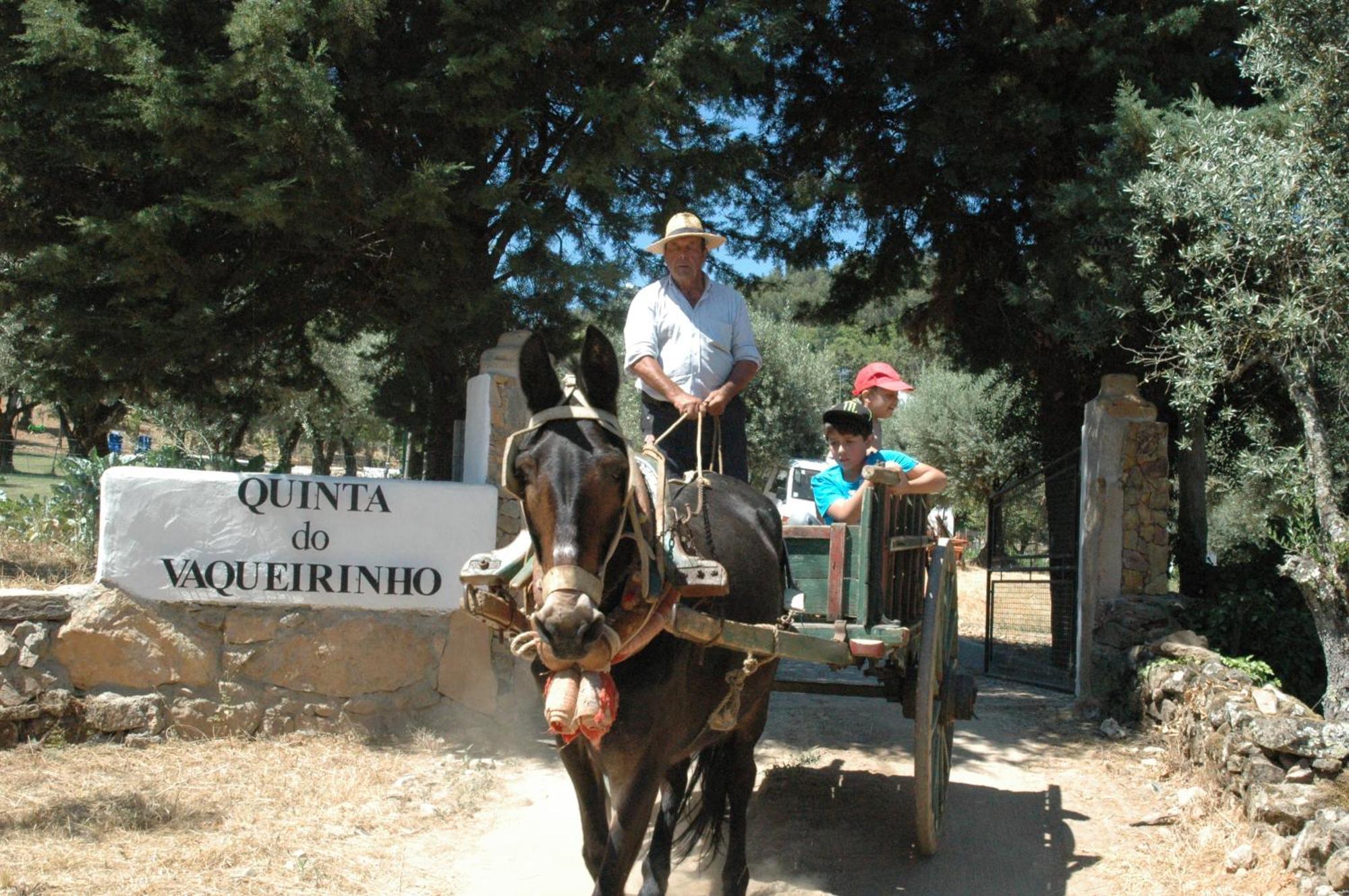 Quinta Do Vaqueirinho - Agro-Turismo Villa Marvão Eksteriør bilde
