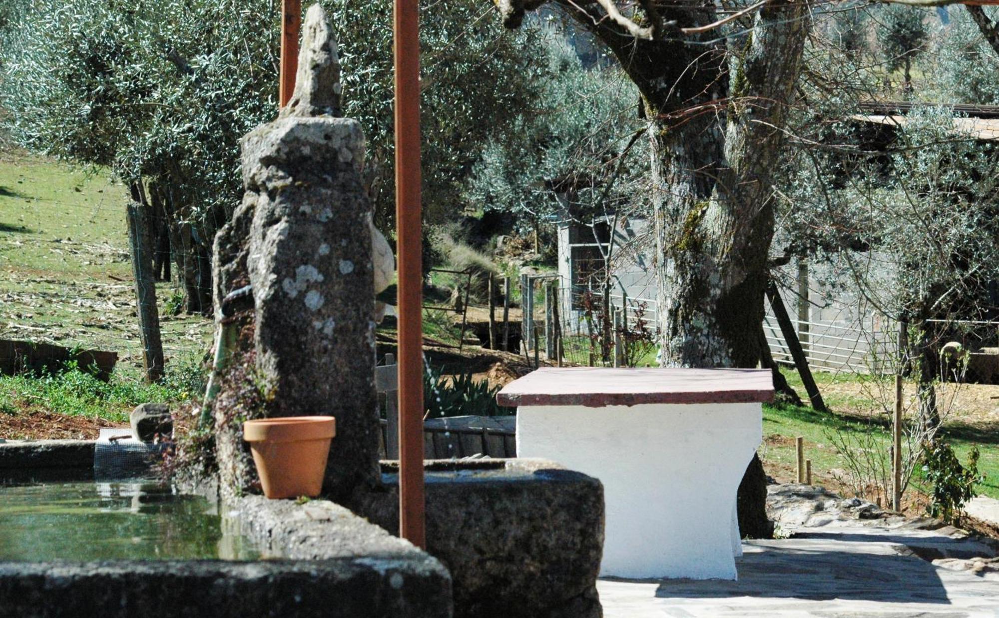 Quinta Do Vaqueirinho - Agro-Turismo Villa Marvão Eksteriør bilde