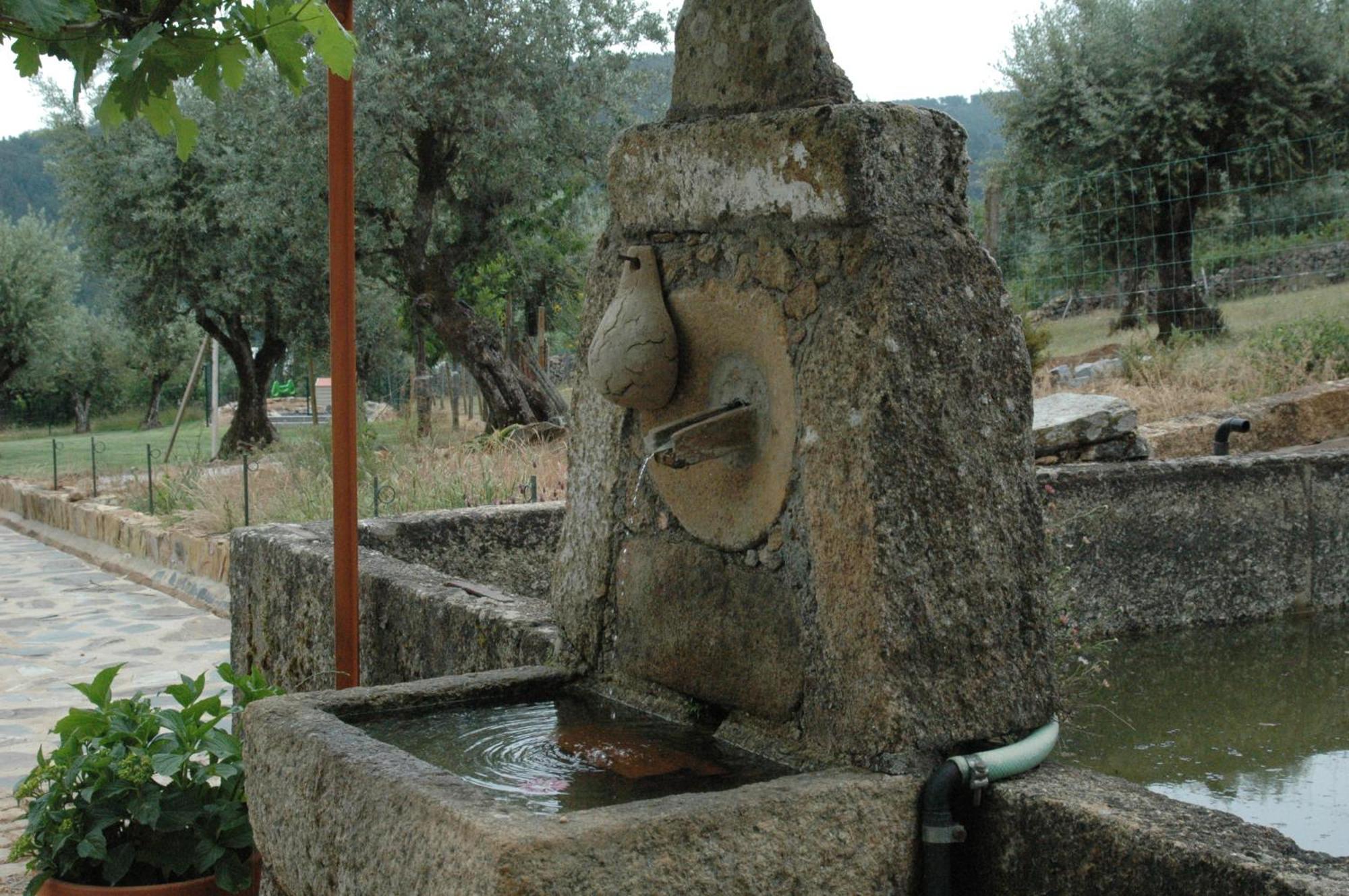 Quinta Do Vaqueirinho - Agro-Turismo Villa Marvão Eksteriør bilde